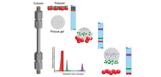 Bild 1: Trennungsmechanismus bei der GPC-Analyse. Graphische Darstellung zum Trennungsmechanismus bei der GPC-Analyse.