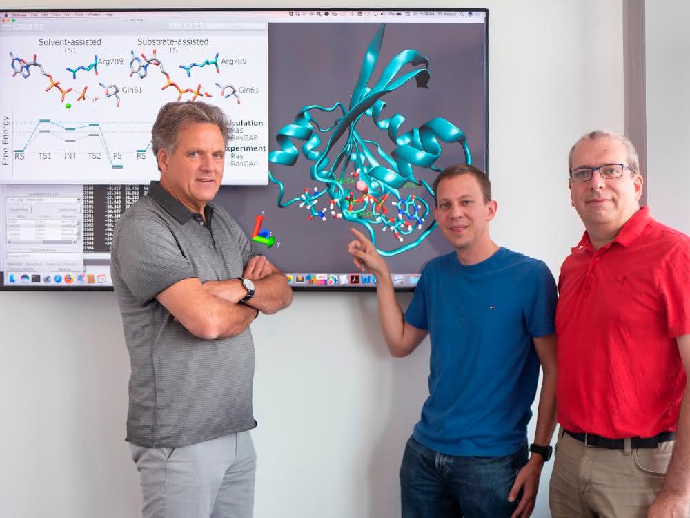 Klaus Gerwert, Till Rudack und Carsten Kötting (von links) forschen schon seit Jahren an Schalterproteinen, zu denen auch das hier gezeigte Ras-Protein gehört.