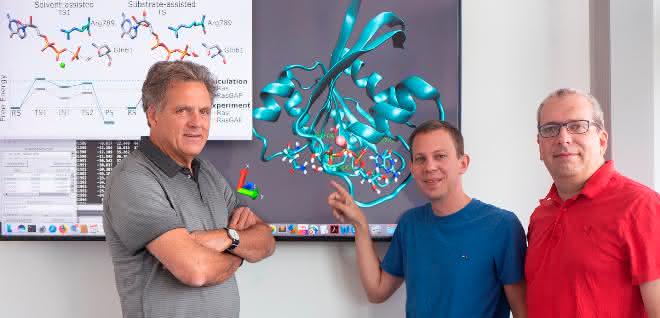 Klaus Gerwert, Till Rudack und Carsten Kötting (von links) forschen schon seit Jahren an Schalterproteinen, zu denen auch das hier gezeigte Ras-Protein gehört.