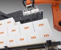 From materialfluss SPEKTRUM 2019: Forming single-variety layers at high speed