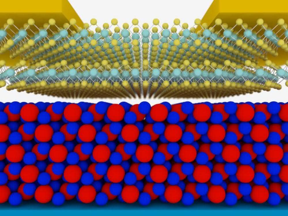 Schematische Skizze des neuen Transistors: In rot-blau: der Isolator, darüber der Halbleiter. Schematische Skizze des neuen Transistors: In rot-blau: der Isolator, darüber der Halbleiter.