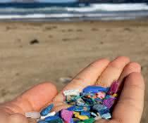 Beklemmend: Meeresverschmutzung mit Plastik ist allgegenwärtig, selbst an menschenleeren Traumstränden, wie hier auf Lanzarote, oder in noch abgelegeneren Regionen, wie der Arktis. Beklemmend: Meeresverschmutzung mit Plastik ist allgegenwärtig, selbst an menschenleeren Traumstränden, wie hier auf Lanzarote, oder in noch abgelegeneren Regionen, wie der Arktis.