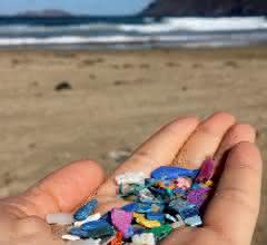 Beklemmend: Meeresverschmutzung mit Plastik ist allgegenwärtig, selbst an menschenleeren Traumstränden, wie hier auf Lanzarote, oder in noch abgelegeneren Regionen, wie der Arktis.