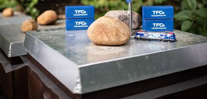 "Happy Bee by TFG": TGF Transfracht übernimmt Bienenpatenschaft "Happy Bee by TFG": TGF Transfracht übernimmt Bienenpatenschaft