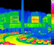Thermographic image