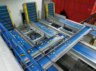 Pallet Box überzeugt in vollautomatisierten Anlagen der Lebensmittelindustrie Pallet Box überzeugt in vollautomatisierten Anlagen der Lebensmittelindustrie
