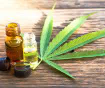 Cannabinoide extrahieren: CPC trifft CBD Cannabinoide extrahieren: CPC trifft CBD