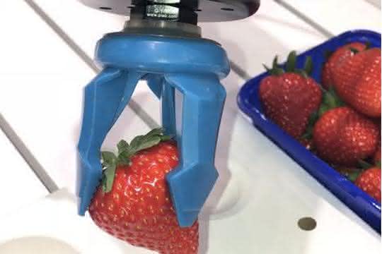 piCOBOT mit piSOFTGRIP