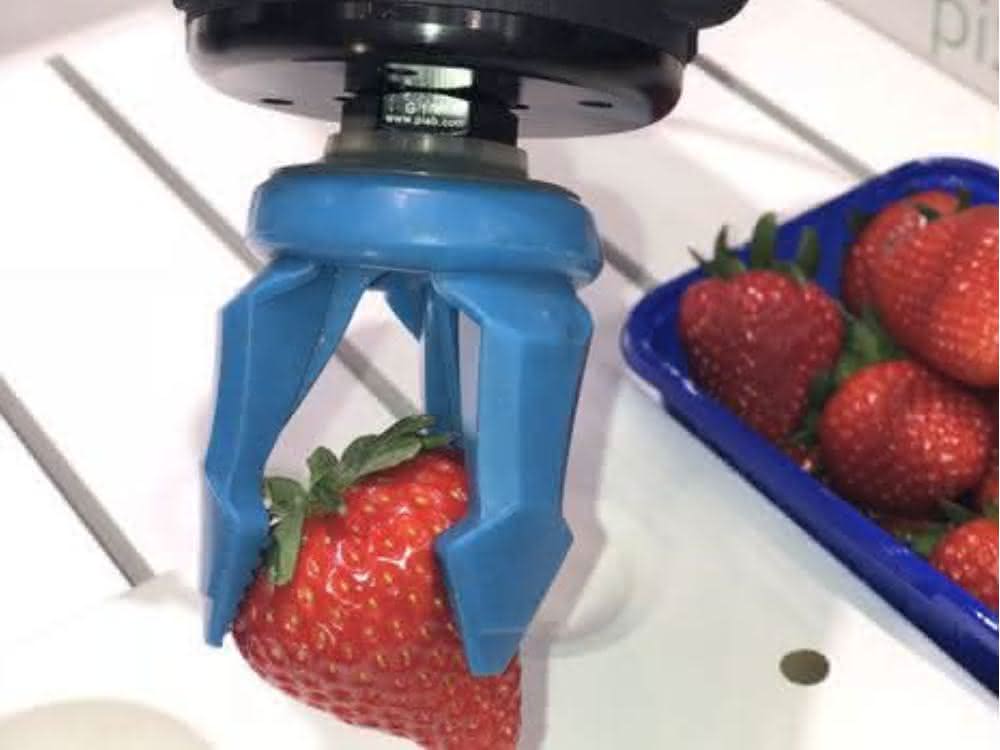 piCOBOT with piSOFTGRIP