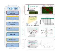 Bild 2: Die Autoren fassen ihre Labor- und Bioinformatik-Tools in einer Pipeline (PepPipe) zusammen, um Protein- und Peptid-basierte Analysen durchzuführen.