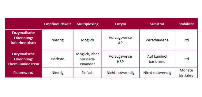 Protein-Nachweis: Western Blots: Welche Nachweismethode ist die richtige? Protein-Nachweis: Western Blots: Welche Nachweismethode ist die richtige?