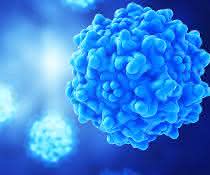 Modellabbildung eines AAV-Virus