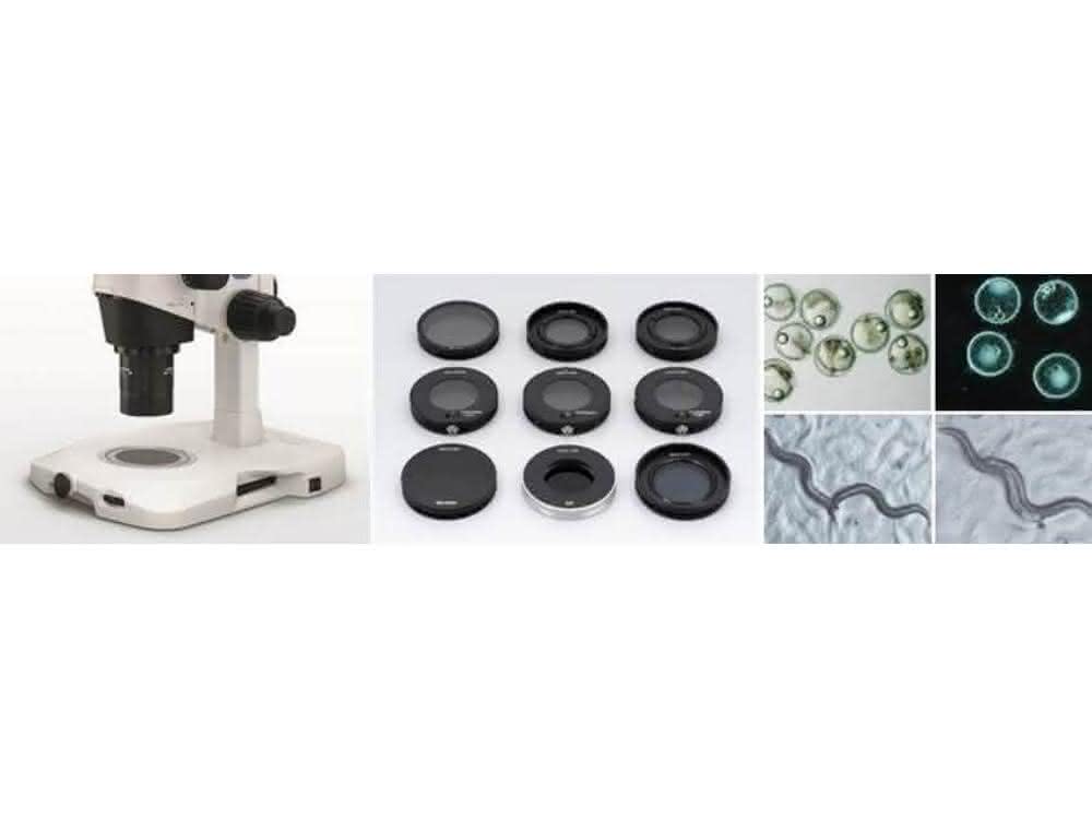 LED-Beleuchtungsbasis mit Revolversystem