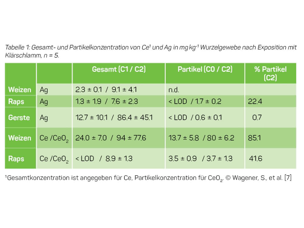 Tabelle 1: Gesamt- und Partikelkonzentration von Ce1 und Ag in mg kg-1 Wurzelgewebe nach Exposition mit Klärschlamm, n = 5.