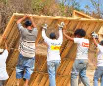 Global Volunteer Day 2019: DHL employees support charitable projects