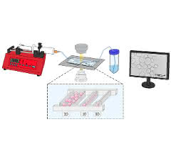 Bild 2: Experimentelles Setup einer MEZK sowie beispielhafte Darstellung unterschiedlicher Kammergeometrie.