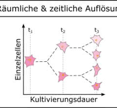 Bild 3: Schematische Darstellung der räumlichen und zeitlichen Auflösung sowie des Nährstoffprofils der MEZK.