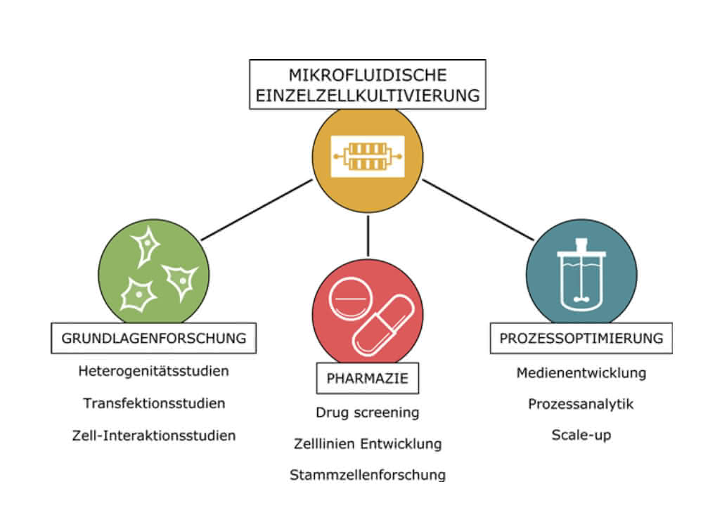 Bild 4: Potenzielle Anwendungsbereiche der MEZK. Bild 4: Potenzielle Anwendungsbereiche der MEZK.