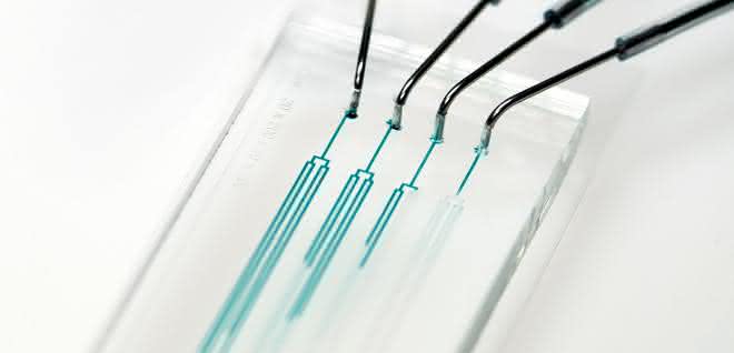 Chip für die mikrofluidische Einzelzellkultivierung (MEZK)