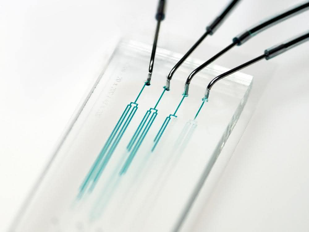 Chip für die mikrofluidische Einzelzellkultivierung (MEZK) Chip für die mikrofluidische Einzelzellkultivierung (MEZK)