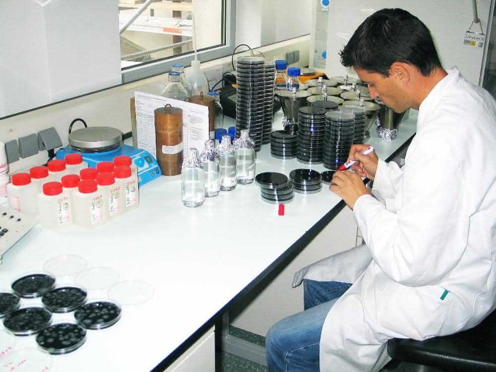 Wasseruntersuchung am IHPH: Zur Testung auf ein Bakterium – hier Legionellen – wird im nächsten Schritt die Filterprobe auf einem spezifischen Nährboden in einer Petrischale bebrütet.