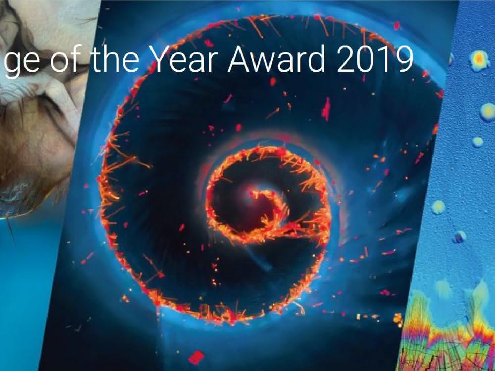 The Art of Science: Olympus startet ersten „Image of the Year“-Award Bild zur Ausschreibung