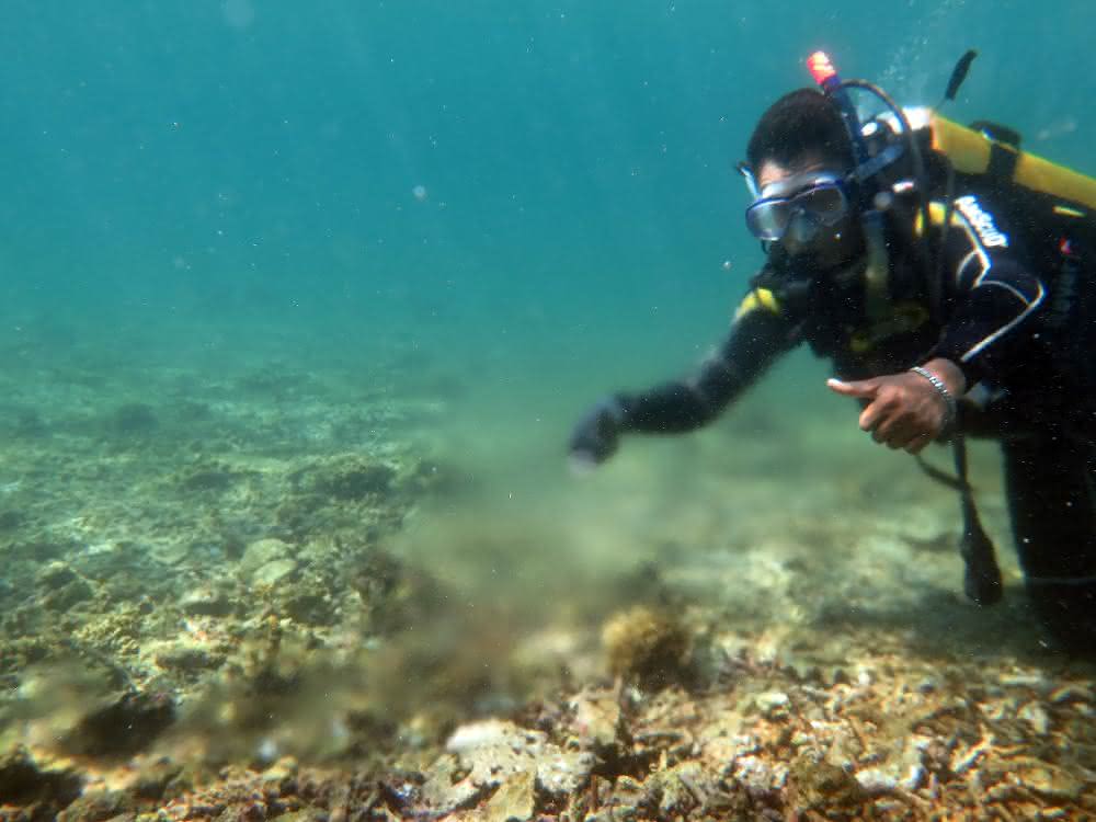Grundwasserquelle in einem Riff vor der Insel Lombok, Indonesien Grundwasserquelle in einem Riff vor der Insel Lombok, Indonesien