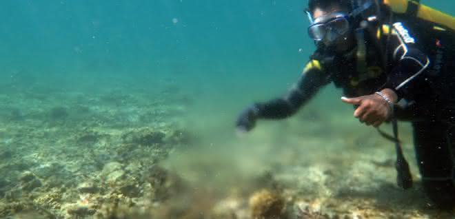Grundwasserquelle in einem Riff vor der Insel Lombok, Indonesien