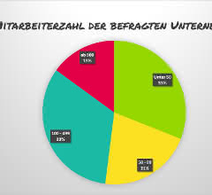 Number of employees in the companies surveyed Number of employees