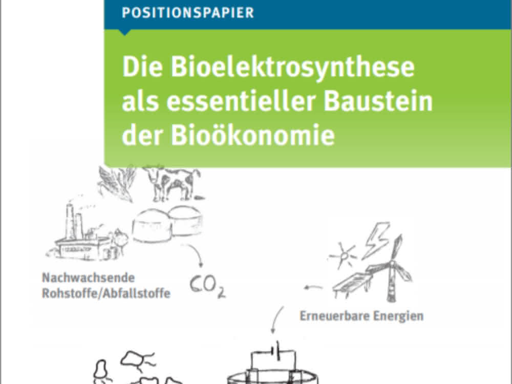 Titelseite des Positionspapiers zur Bioelektrosynthese