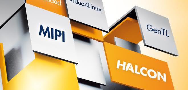 Halcon