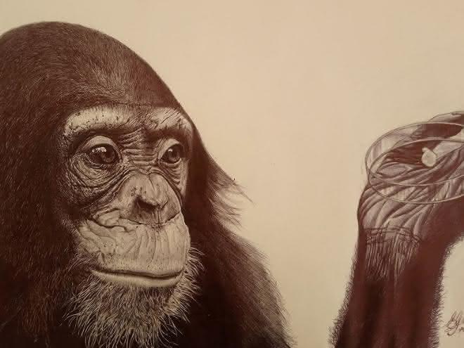 Zeichnung eines Schimpansen von Enrique Guisado Triay, einem kubanischen Künstler, der aktuell in Leipzig lebt und wirkt. Zeichnung eines Schimpansen von Enrique Guisado Triay, einem kubanischen Künstler, der aktuell in Leipzig lebt und wirkt.