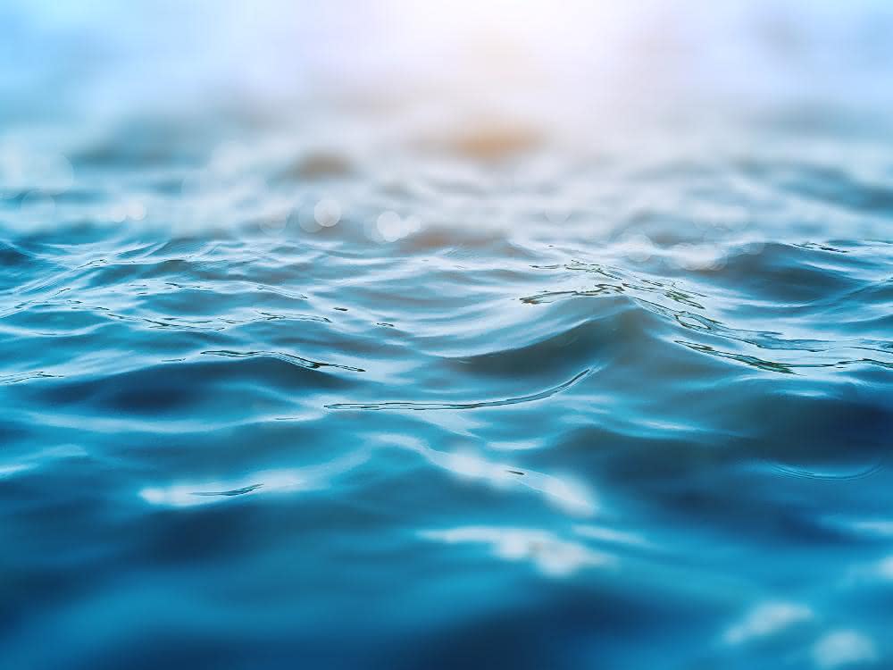 Der verbreitete Einsatz der Anti-Baby-Pille führt über die Klärwerke zu einer Immission des Hauptwirkstoffs 17-alpha-Ethinylestradiol (EE2) in Oberflächengewässer. Wasseroberfläche