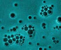 Cobalt-Nanopartikel, umhüllt von Aluminium