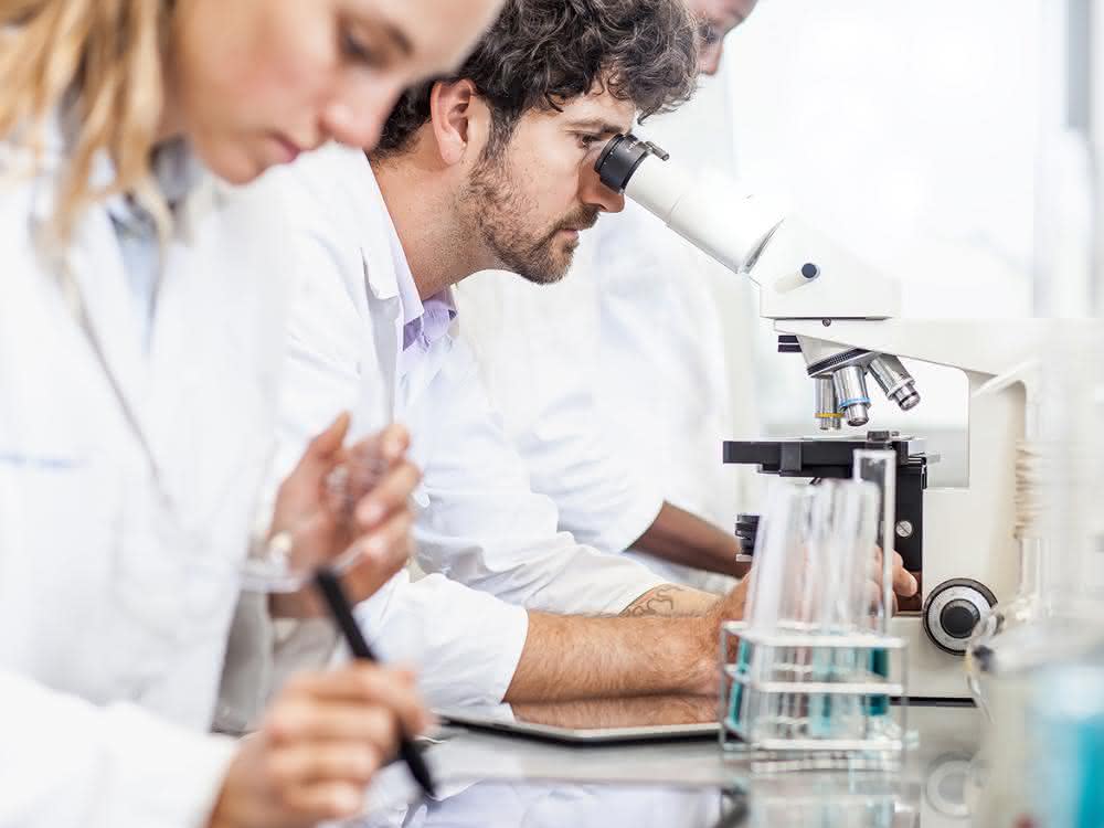 Internationale Umfrage zum Thema Supply Chain Management