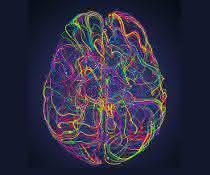 Abstract image of the brain Abstract image of the brain
