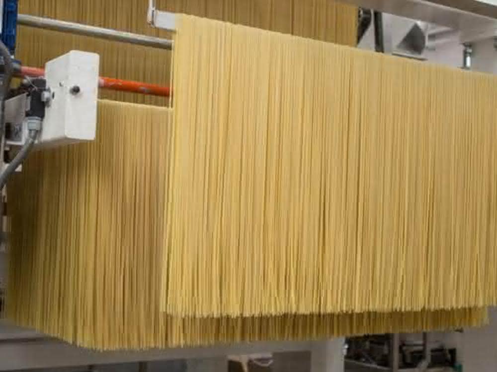 Pasta drying system