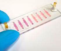 Ein Bio-Chip im Labor an der TU Wien. Ein Bio-Chip im Labor an der TU Wien.