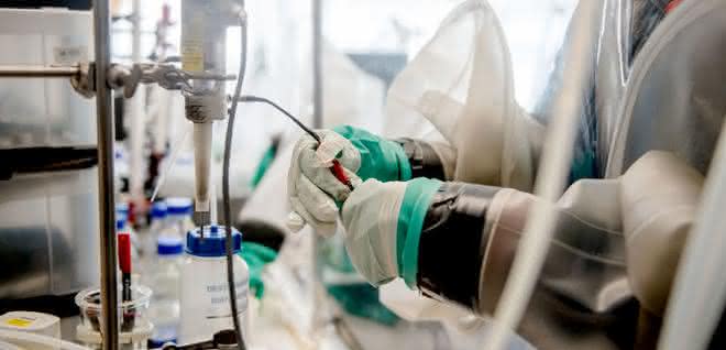 Hydrogenasen sind sehr empfindlich gegenüber Sauerstoff, daher müssen die Experimente mit ihnen in einer abgeschotteten Umgebung stattfinden. Blick in eine Workstation, in der ein Labormitarbeiter mit Handschuhen durch zwei Eingriffbereiche hindurch hantiert.