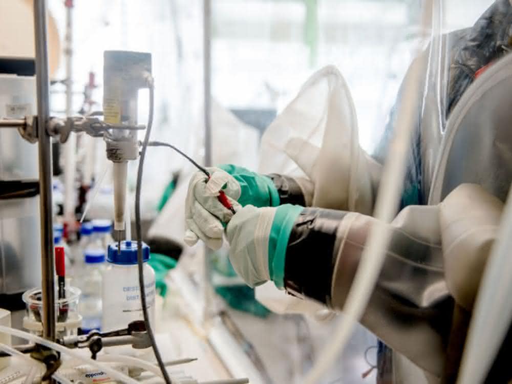 Hydrogenasen sind sehr empfindlich gegenüber Sauerstoff, daher müssen die Experimente mit ihnen in einer abgeschotteten Umgebung stattfinden. Blick in eine Workstation, in der ein Labormitarbeiter mit Handschuhen durch zwei Eingriffbereiche hindurch hantiert.