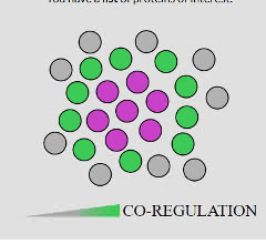 Screenshot der Einstiegsseite zu www.proteomehd.net