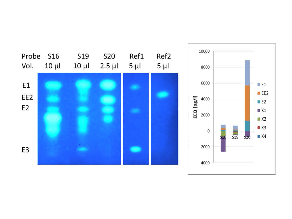 Chromatogramme (DC plus Wirktest) und Balkendiagramm mit Konzentrationsangaben