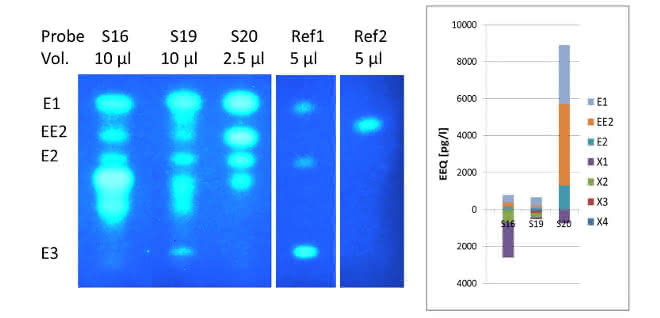 Chromatogramme (DC plus Wirktest) und Balkendiagramm mit Konzentrationsangaben