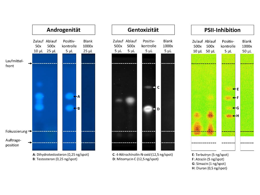 Mit spezifischen Tests gekoppelte Dünnschichtchromatogramme zur Prüfung auf Andrgogenität, Gentoxizität und PSII-Inhibition