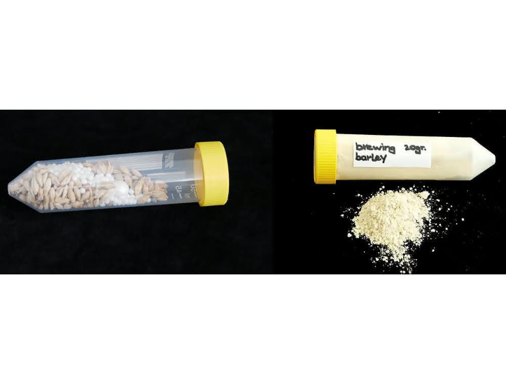 Zwei liegende Gefässe: Links ein Vial mit Getreidekörnern (Braugerste) und rechts ein Vial mit hellgelbem Pulver (den gemahlenen Körnern) darin und einem Häufchen des hellgelben Pulvers vor diesem Vial.