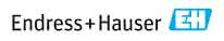 Endress+Hauser Safety Day 2020