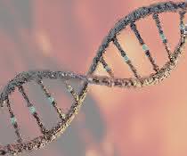 Erforschung und Identifizierung neuer Drug Targets: Merck lizenziert CRISPR-Technologie zur Genomeditierung an Evotec Erforschung und Identifizierung neuer Drug Targets: Merck lizenziert CRISPR-Technologie zur Genomeditierung an Evotec