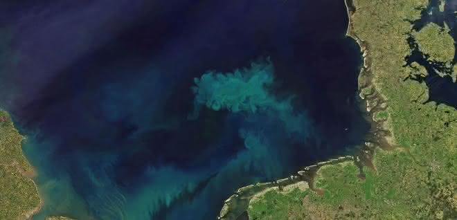 Allein in der etwa 70.000 Quadratkilometer umfassenden Deutschen Bucht entstehen bei der Algenblüte im FrühjahrAllein in der etwa 70.000 Quadratkilometer umfassenden Deutschen Bucht entstehen bei der Algenblüte im Frühjahr