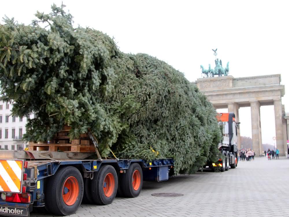 Weihnachtlicher Schwerlasttransport: Universal Transport bringt Weihnachtsbaum ans Brandenburger Tor