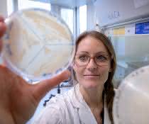 Pflanzenbiochemie: Enzymatischer Mechanismus bei der Apiose-Biosynthese Frau im Labor hält eine Petrischale (mit Kulturen und Beschriftung) hoch